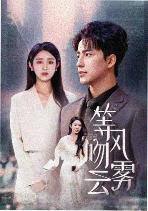 悬疑剧集边境线高清封面