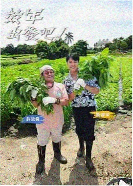美食实验综艺厨房实验室高清封面